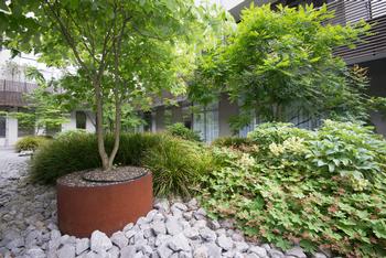 Een binnentuin met lage beplanting voor een groen gevoel tussen vier muren

